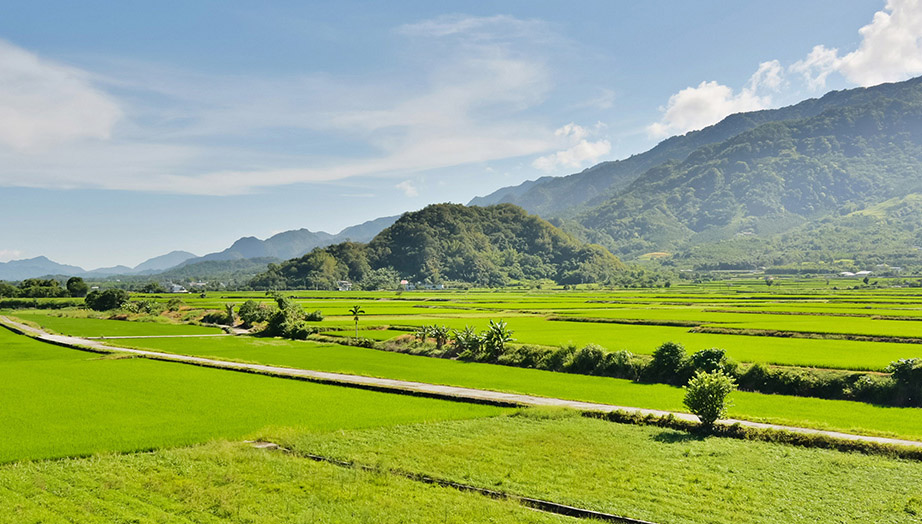 產(chǎn)品銷往全國(guó)各地并遠(yuǎn)銷歐美及東南亞國(guó)家和地區(qū)